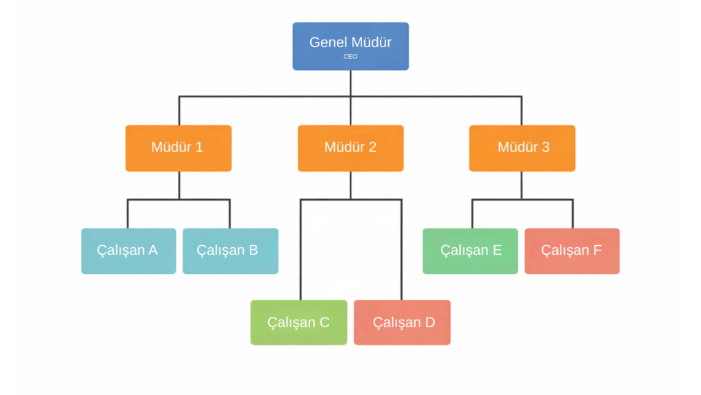 Hiyerarşik organizasyon şeması örneği, genel müdür ve müdürlere bağlı çalışan yapısı