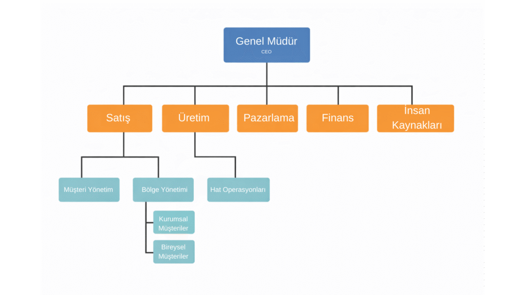 Fonksiyonel organizasyon şeması örneği; genel müdüre bağlı satış, pazarlama, üretim ve finans departmanlarının gösterildiği yapı
