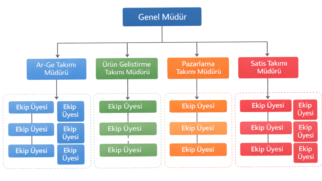 Genel müdüre bağlı Ar-Ge, ürün geliştirme, pazarlama ve satış takımlarının yer aldığı takım bazlı organizasyon şeması