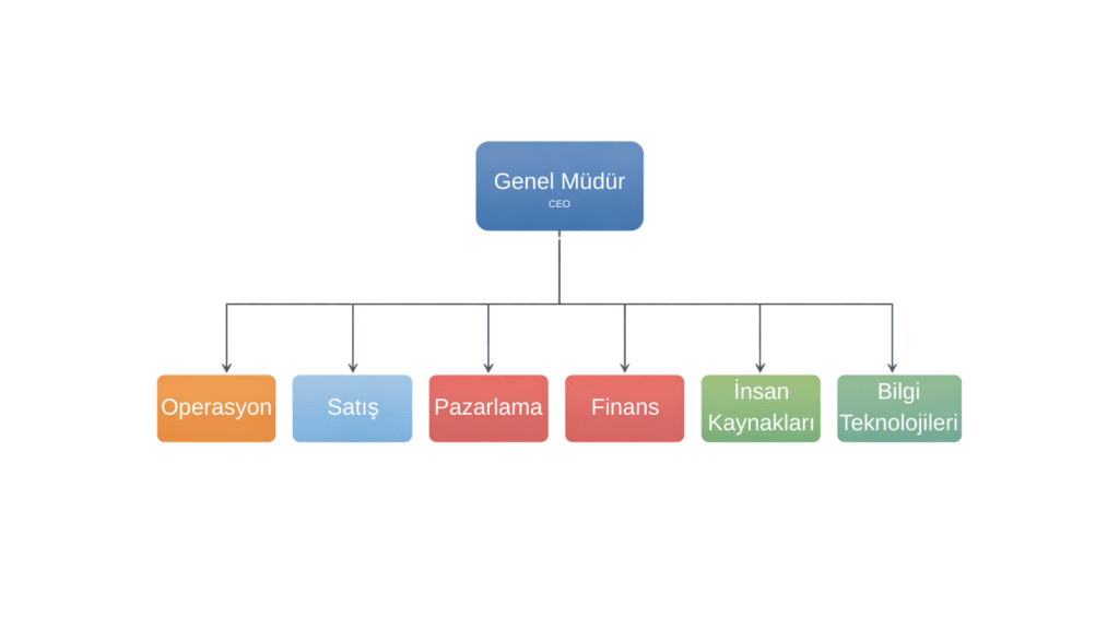 Yatay organizasyon şeması örneği: üstte tek lider ve altında doğrudan bağlı yedi ekip